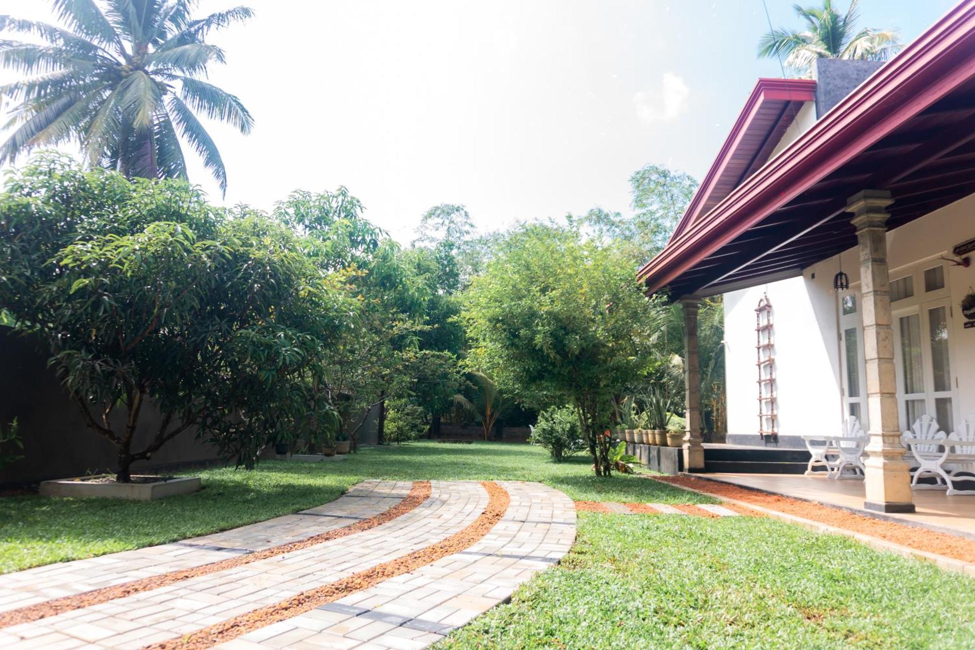 בלפיטיה Villa Tropical Oasis מראה חיצוני תמונה